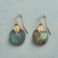 Vintage Waterdrop Blue Earrings