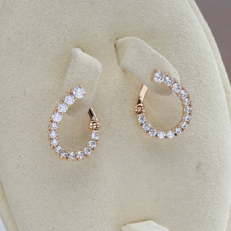 Rounded Zirconia Earrings